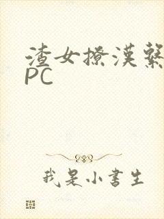 渣女撩汉系统NPC