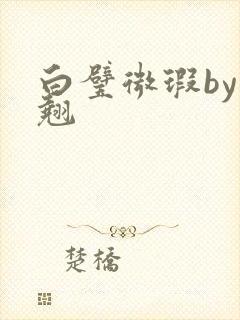 白璧微瑕by连翘