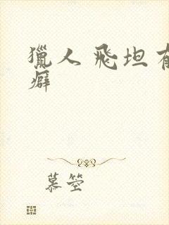 猎人 飞坦有洁癖