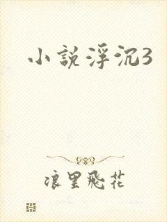 小说浮沉3