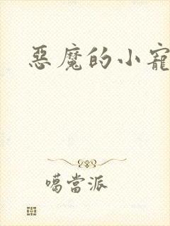 恶魔的小宠妻