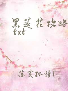 黑莲花攻略手册 txt