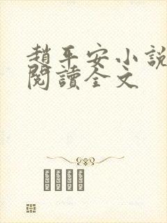 赵平安小说免费阅读全文