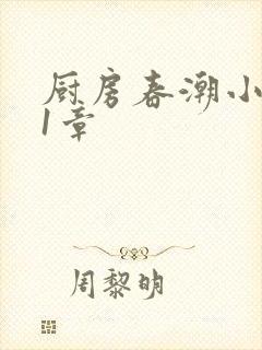 厨房春潮小说第1章