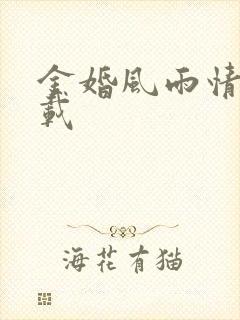 金婚风雨情 下载