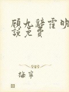 顾九辞霍明澈小说免费