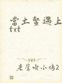 当土鳖遇上海龟txt