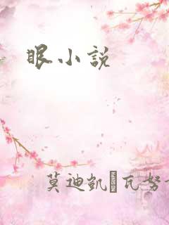 眼小说