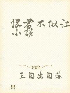 恨君不似江楼月小说