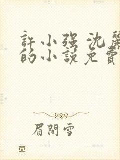 许小强 沈丽娟的小说免费阅读