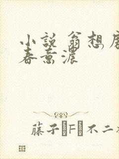 小说 翁想房中春意浓