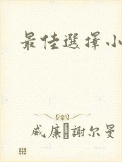 最佳选择小说