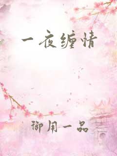 一夜缠情