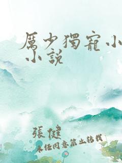 厉少独宠小娇妻 小说