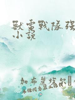 兽电战队强龙者小说