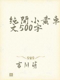 纯开小黄车小短文500字
