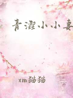 青涩小小妻
