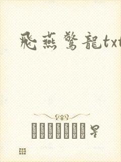 飞燕惊龙txt