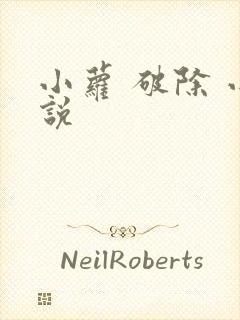 小萝 破除 小说