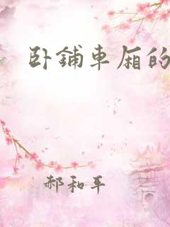 卧铺车厢的艳遇