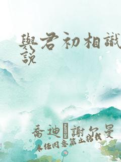 与君初相识 小说
