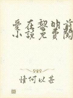 爱在黎明前降落小说免费阅读