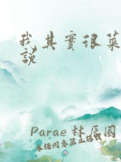 我其实很菜的小说