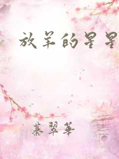 放羊的星星续集