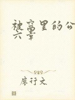 被窝里的公息十六章