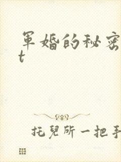 军婚的秘密txt