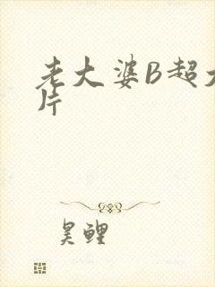 老大婆B超大图片