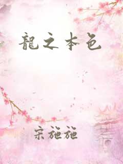龙之本色