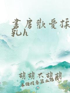 书房欢爱揉捏娇乳h