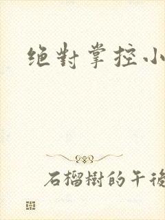 绝对掌控小说