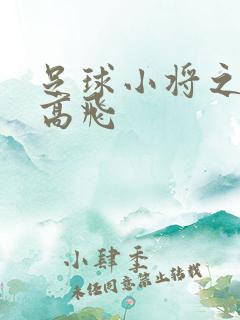 足球小将之展翅高飞