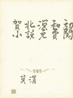 贺北溟和初夏的小说免费阅读无弹窗