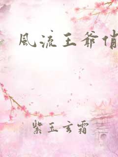 风流王爷俏相公