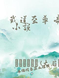 武道至尊 帝临 小说