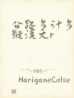 公路多汁多肉的糙汉文r