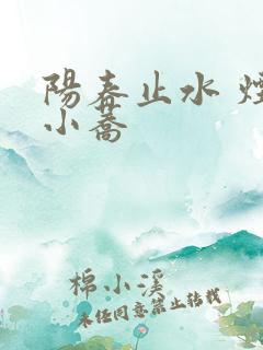 阳春止水 烟树小荞