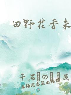 田野花香未删节