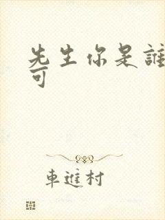 先生你是谁林亦可