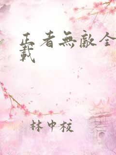 正者无敌全集下载