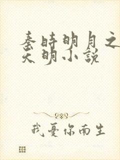 秦时明月之夜尽天明小说