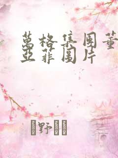 万格集团董事李亚菲图片