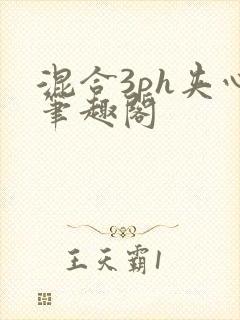 混合3ph夹心笔趣阁