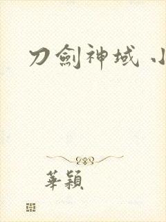刀剑神域 小说