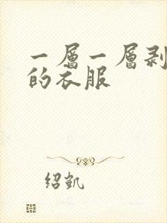 一层一层剥掉你的衣服