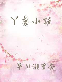 丫鬟小说