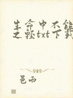 生命中不能承受之轻txt下载